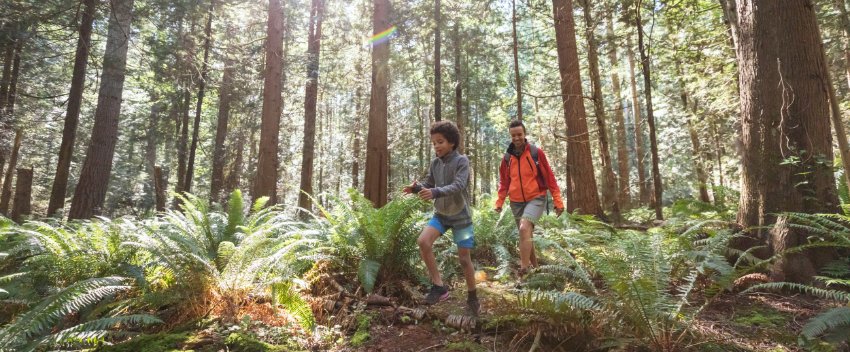 A young man and kid hiking in forest