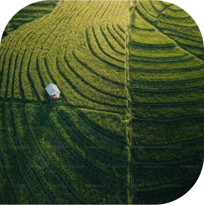 Aerial view of a house on a green landscape 